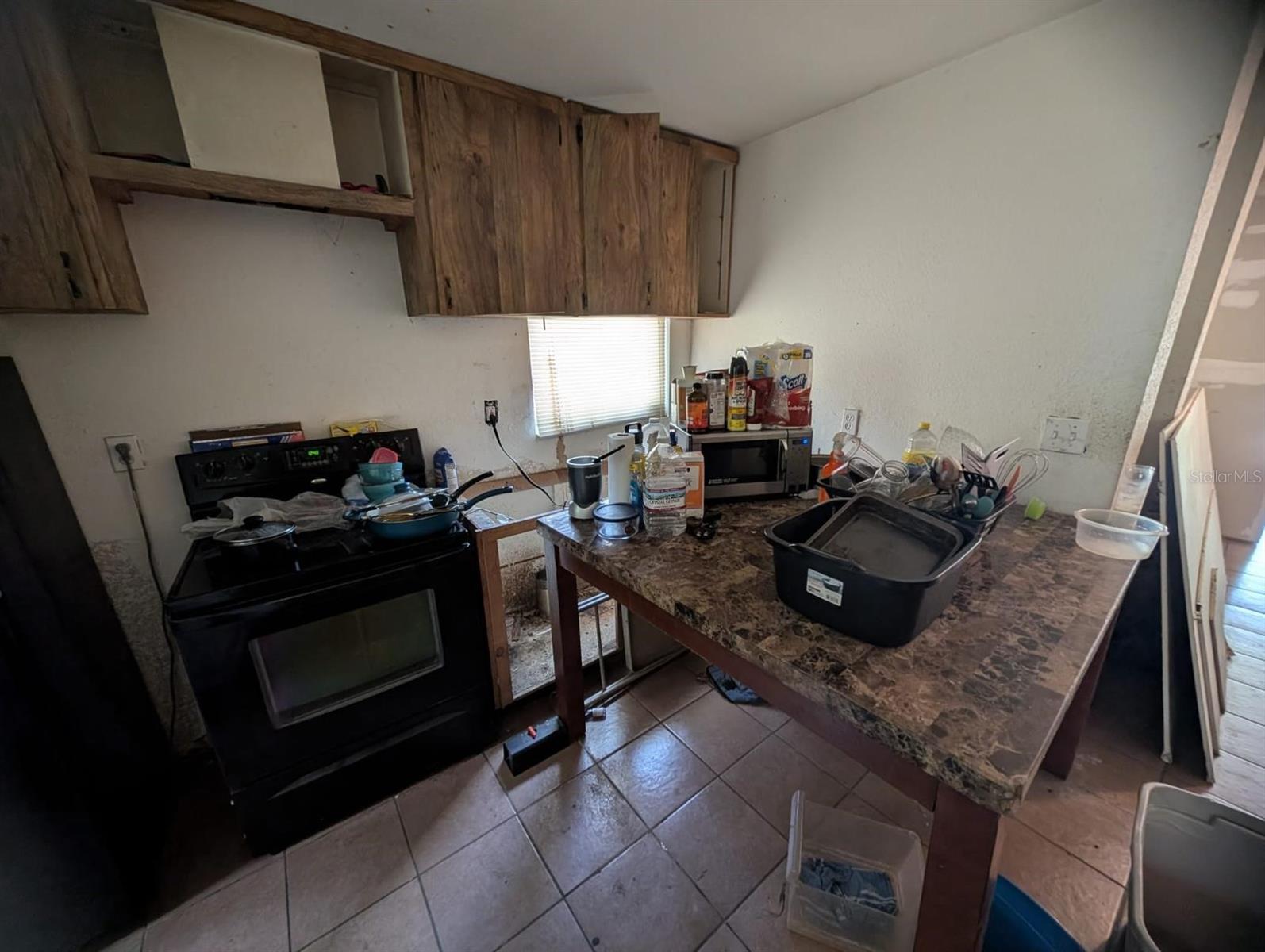 3613 DELEUIL AVE, TAMPA, FL, 33610