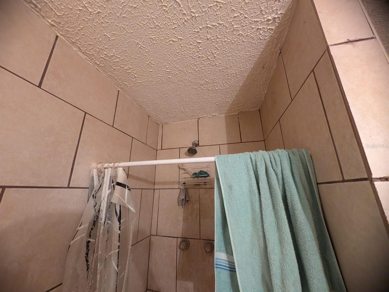 3613 DELEUIL AVE, TAMPA, FL, 33610