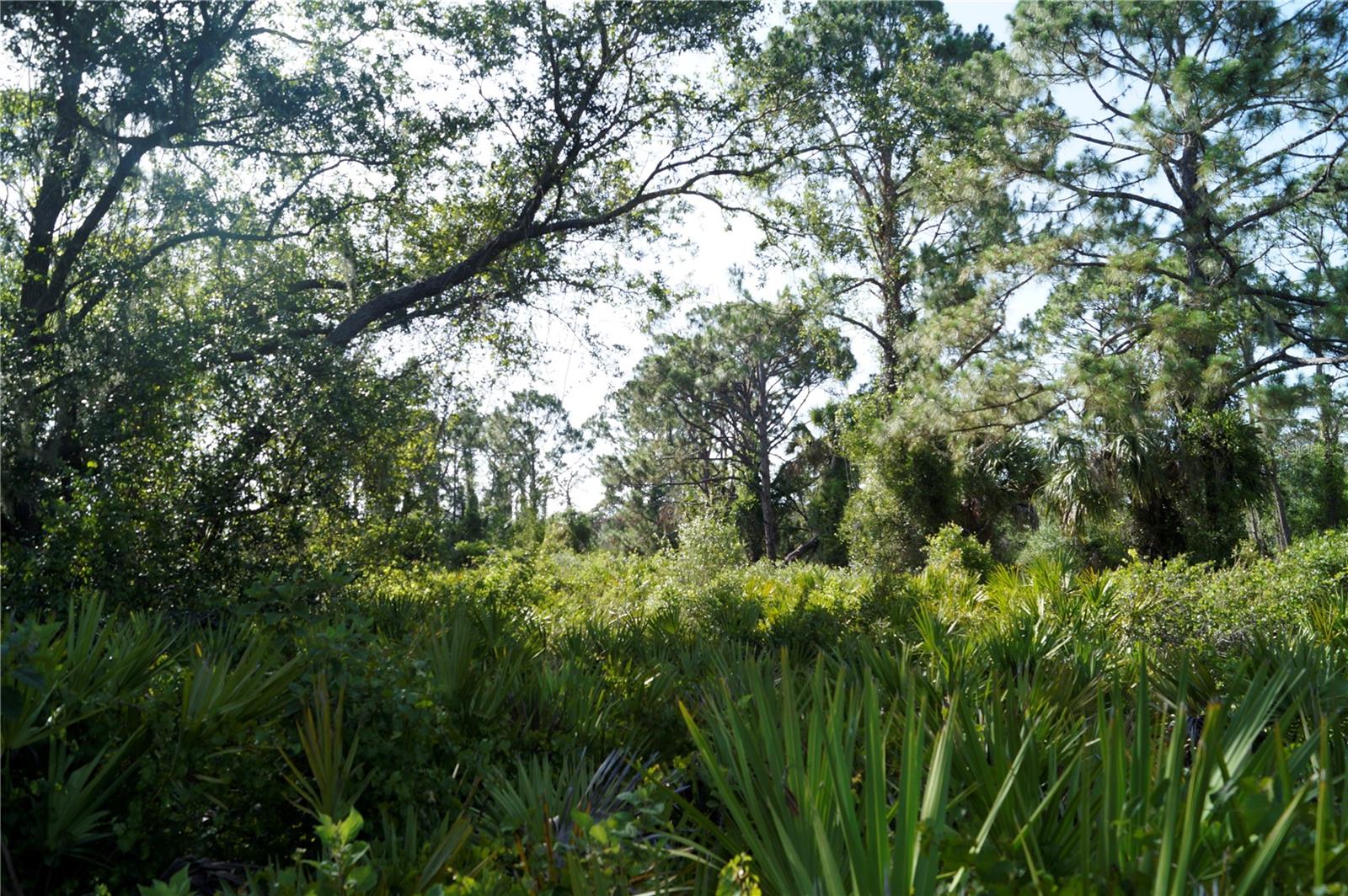 Lots 14 and 15 CONSTITUTION DR, NORTH PORT, FL, 34291