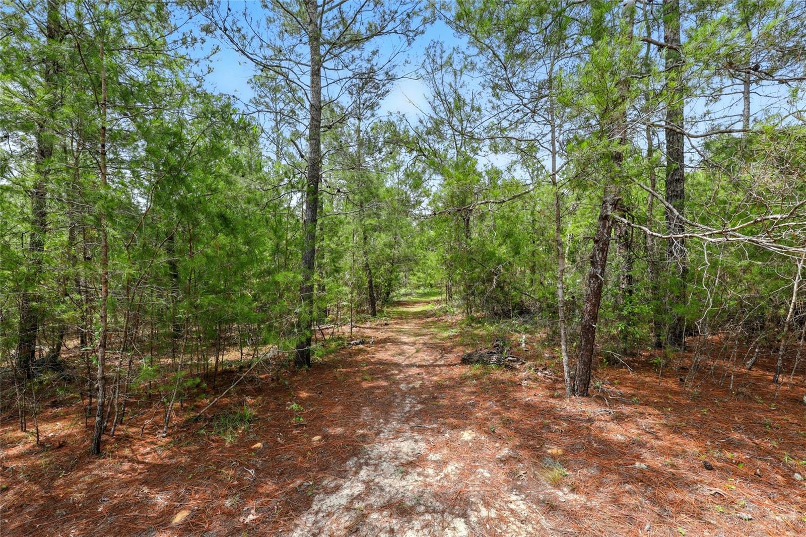 405 64TH ST, INTERLACHEN, FL, 32148