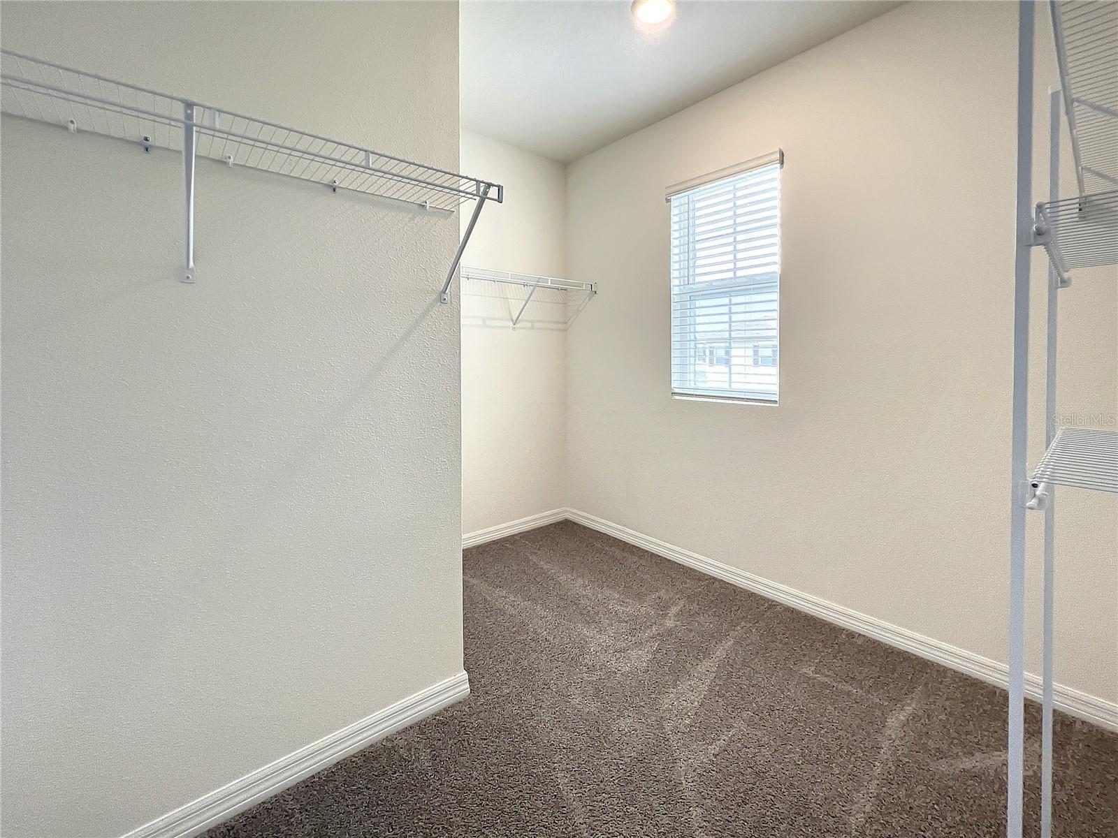 10556 PENNY GALE LOOP, SAN ANTONIO, FL, 33576