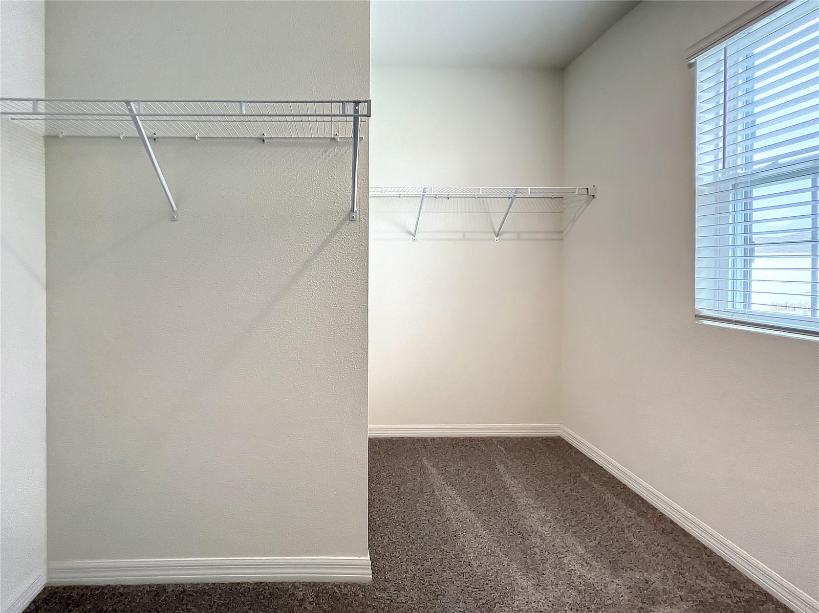 10556 PENNY GALE LOOP, SAN ANTONIO, FL, 33576