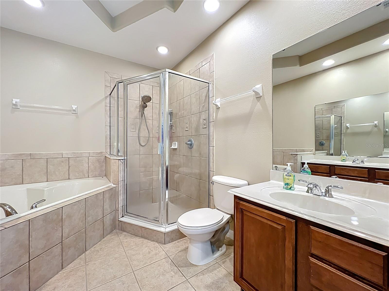 15822 WOODLAND SPRING CT, ORLANDO, FL, 32828