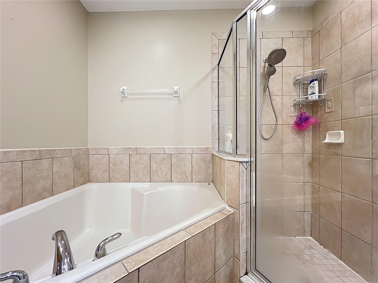 15822 WOODLAND SPRING CT, ORLANDO, FL, 32828