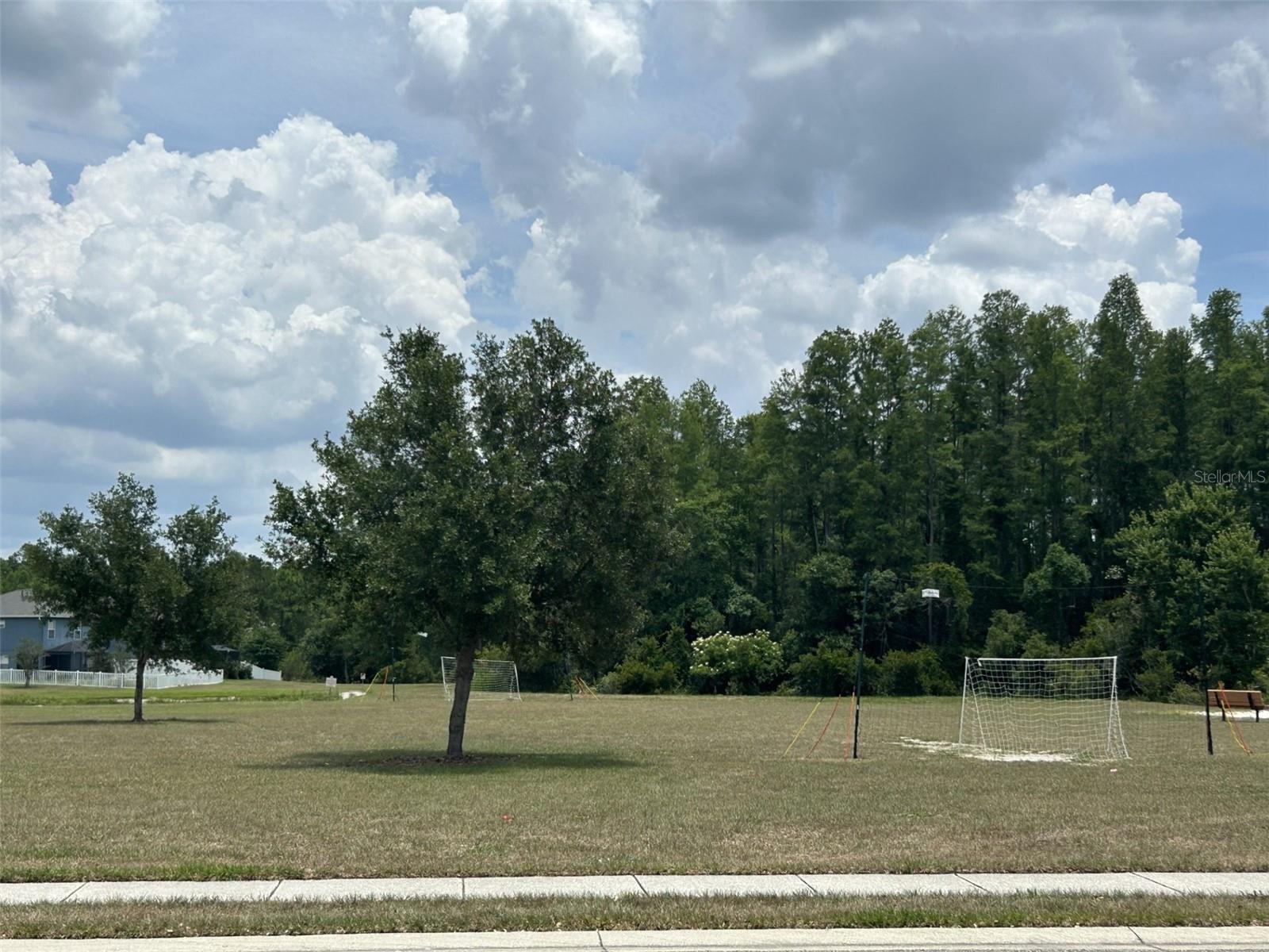 3323 WHITLEY BAY COURT, LAND O LAKES, FL, 34638