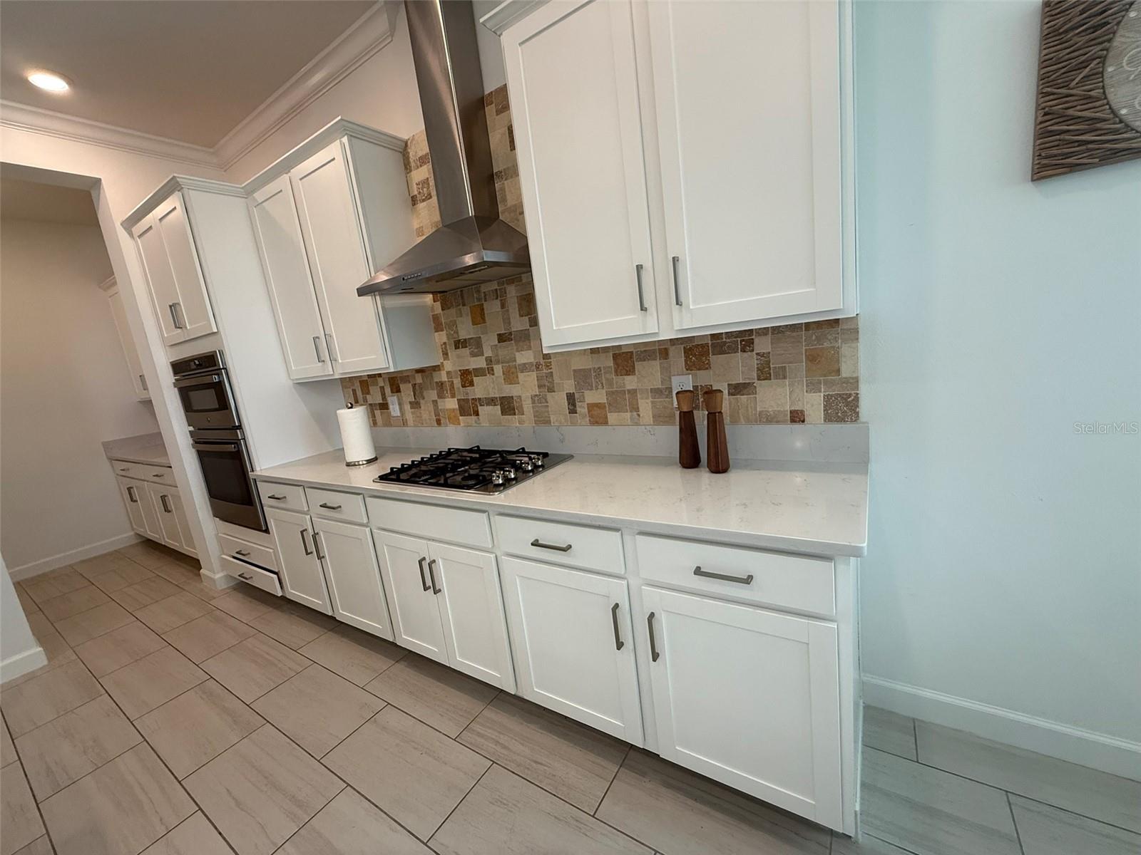 17304 SCUBA CREST ST, WIMAUMA, FL, 33598