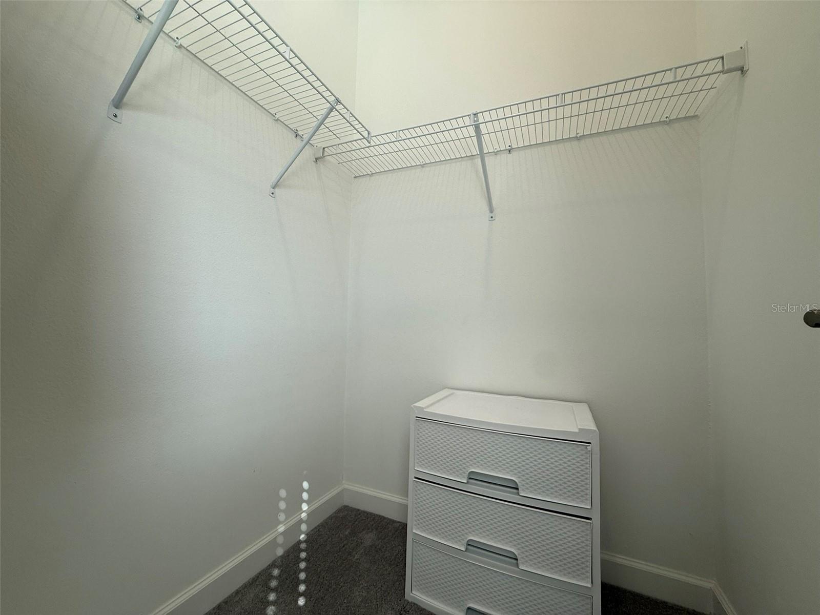 17304 SCUBA CREST ST, WIMAUMA, FL, 33598