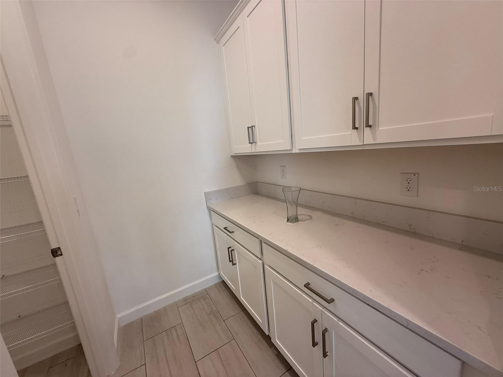 17304 SCUBA CREST ST, WIMAUMA, FL, 33598