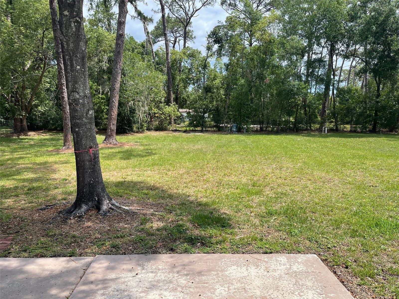 7209 CYPRESS LAKE DR, ODESSA, FL, 33556