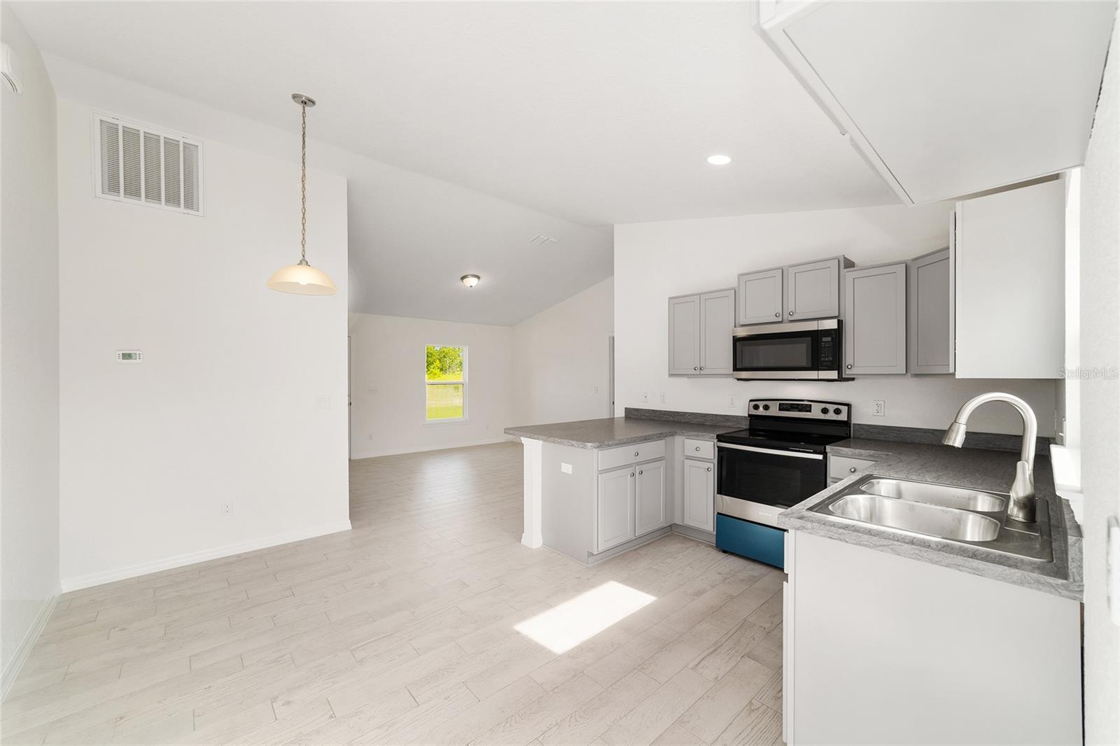 14690 SW 24TH. PL, OCALA, FL, 34481