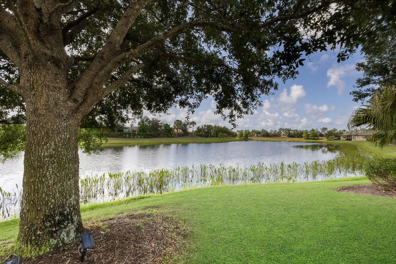 13338 TORRESINA TER, LAKEWOOD RANCH, FL, 34211