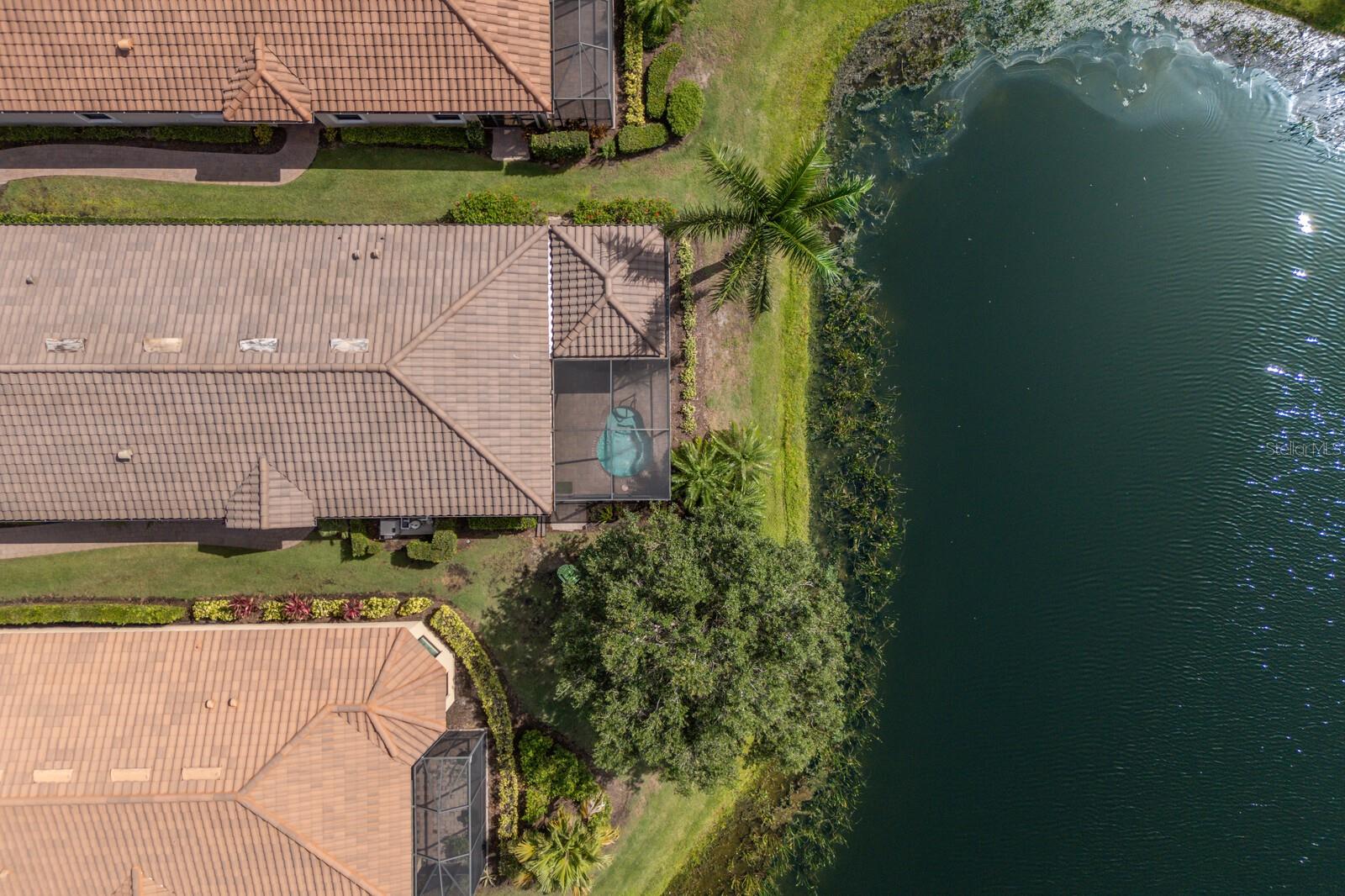 13338 TORRESINA TER, LAKEWOOD RANCH, FL, 34211