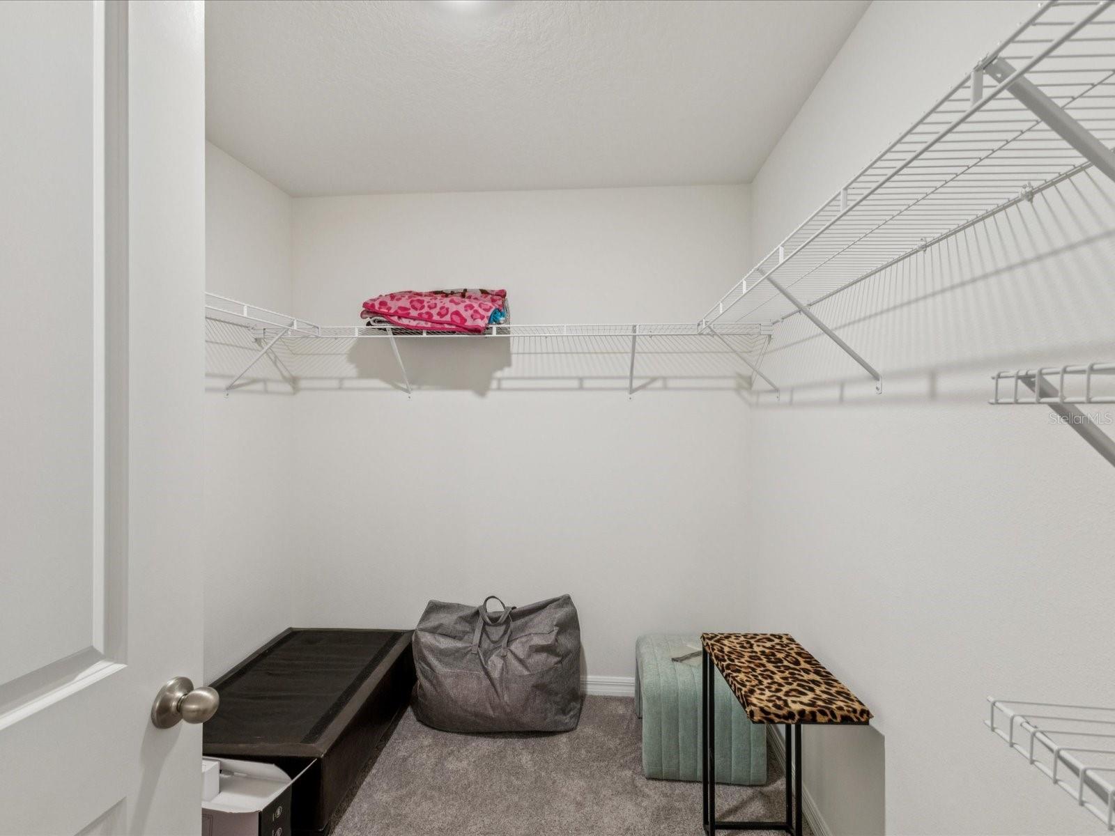 6043 PIEDMONT DR, SPRING HILL, FL, 34606