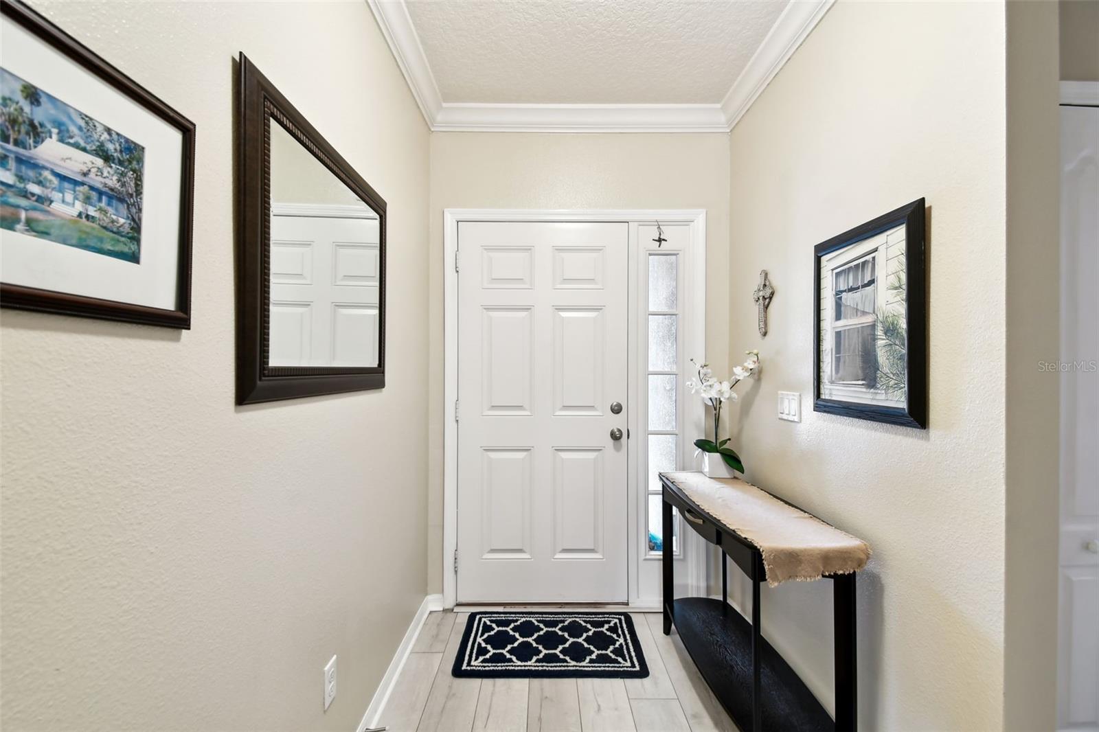 2409 MARTINS RUN, TAVARES, FL, 32778