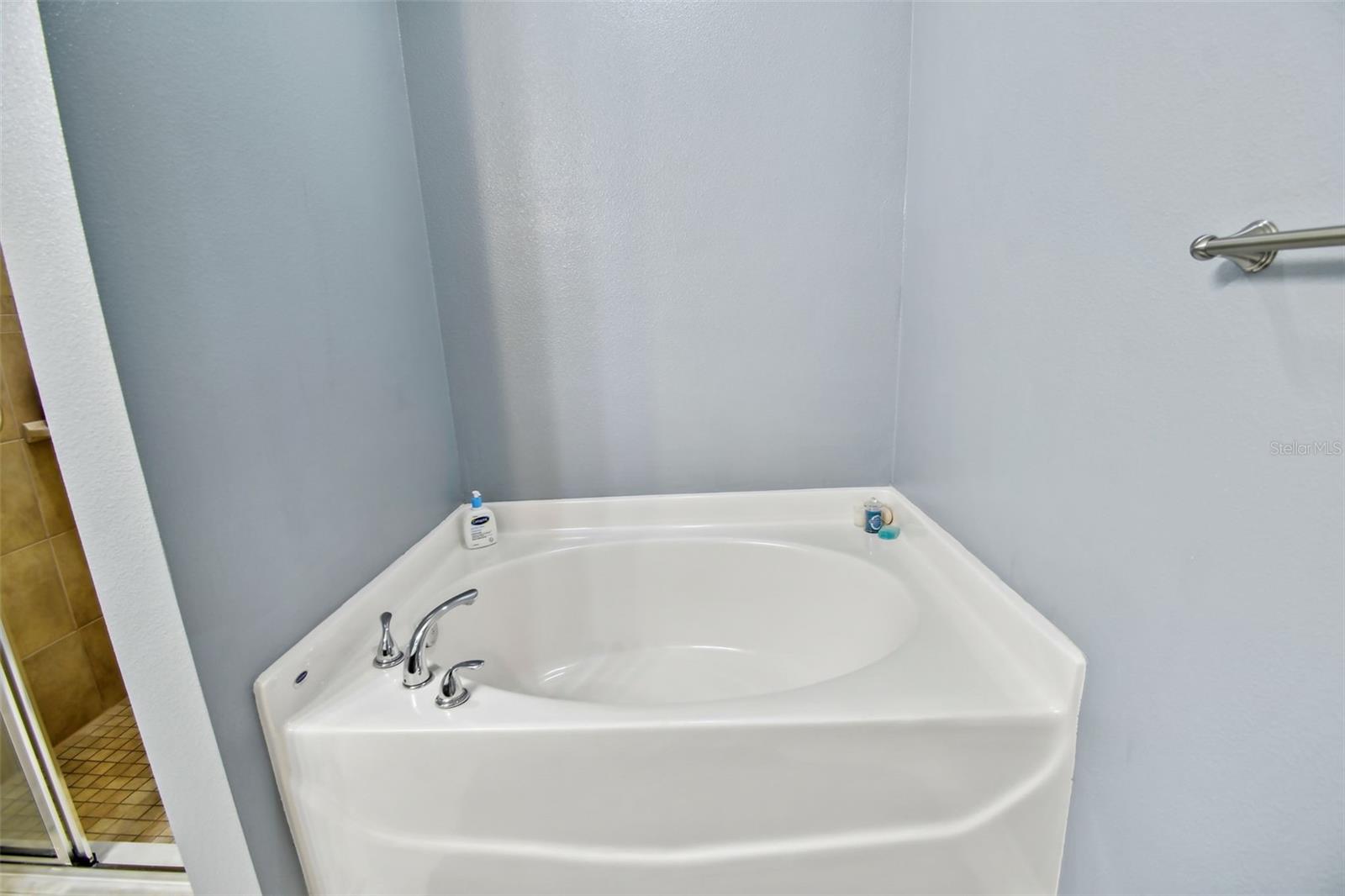 2409 MARTINS RUN, TAVARES, FL, 32778