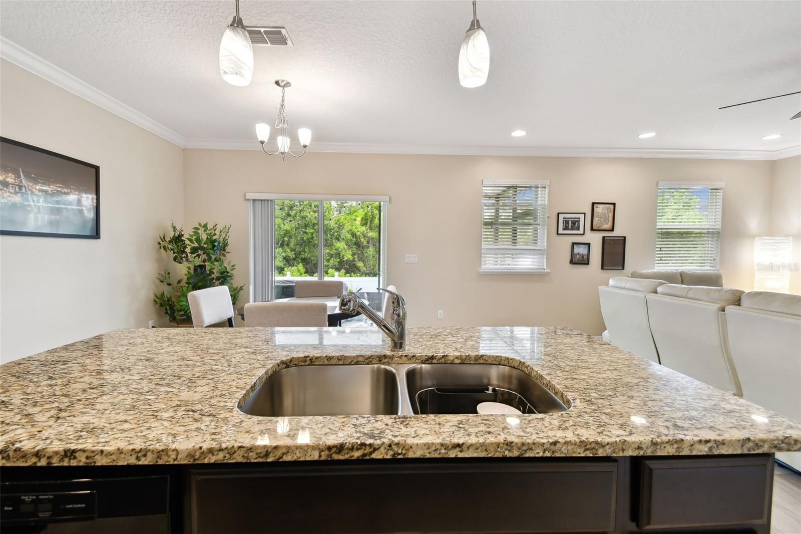 2409 MARTINS RUN, TAVARES, FL, 32778