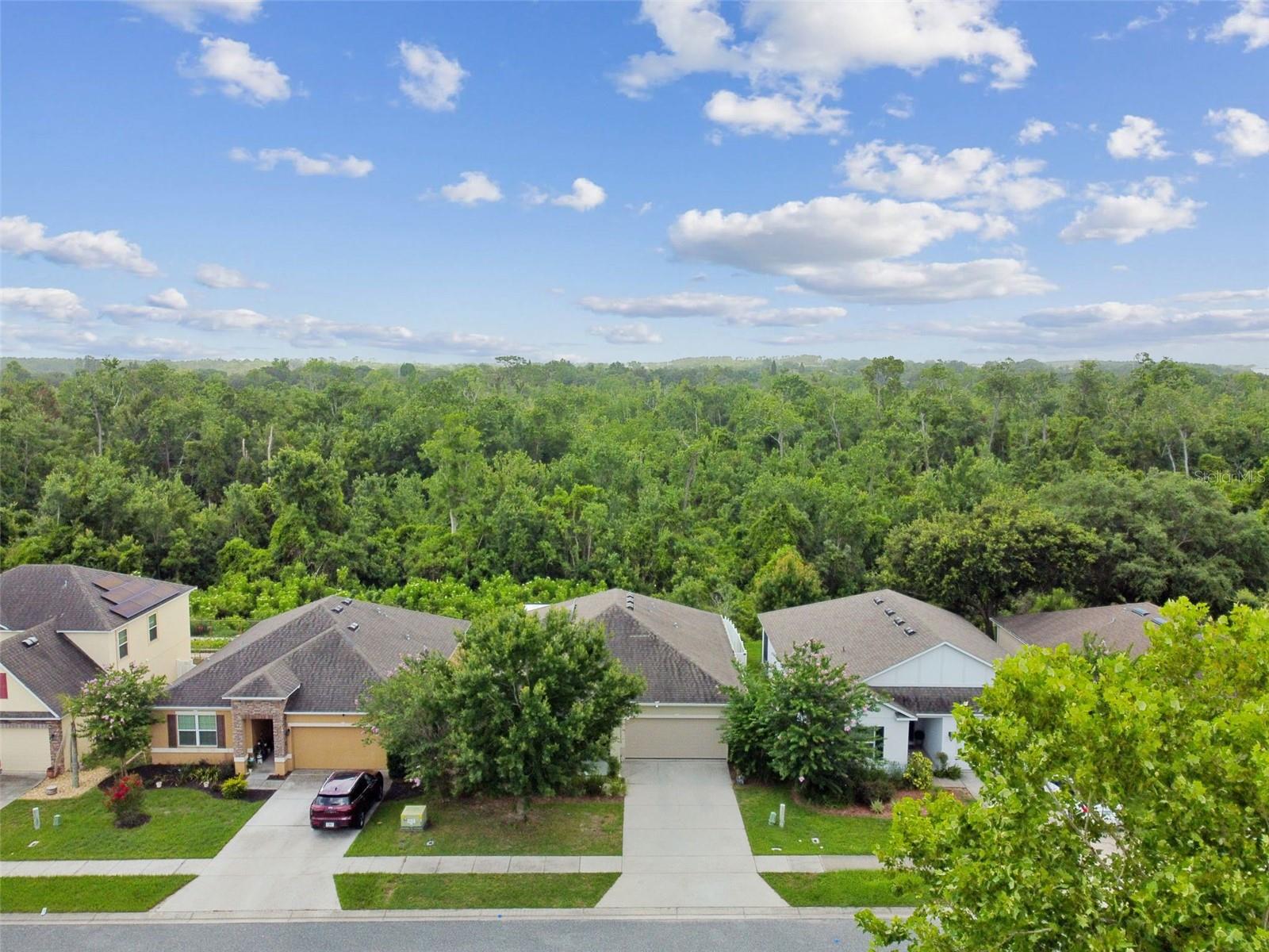 2409 MARTINS RUN, TAVARES, FL, 32778