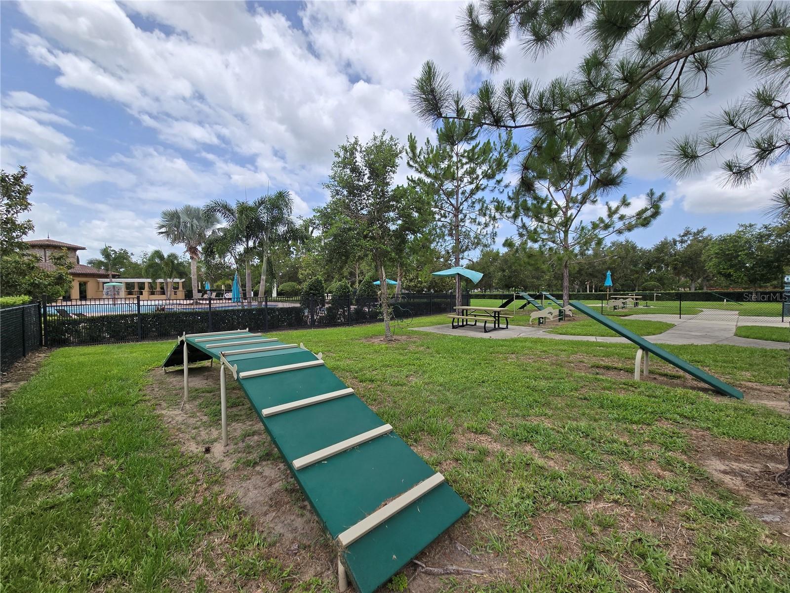 Dog Park With Agility Obstacles