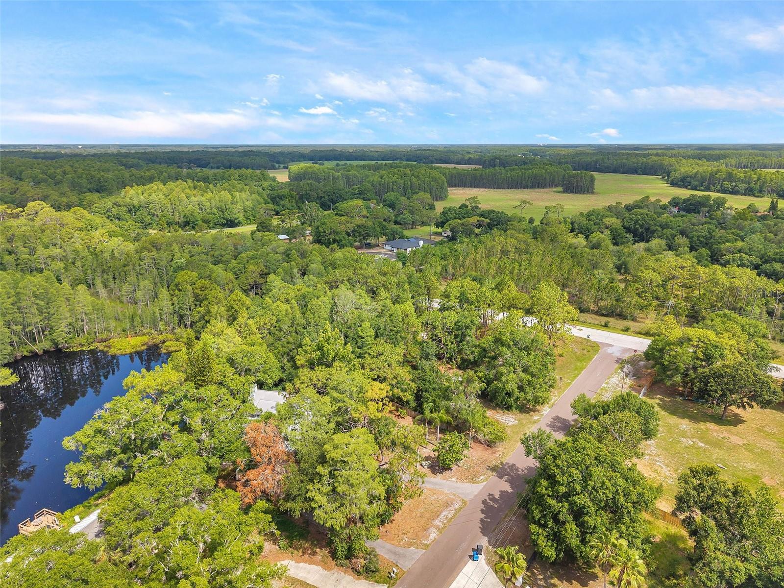 18324 JORENE RD, ODESSA, FL, 33556