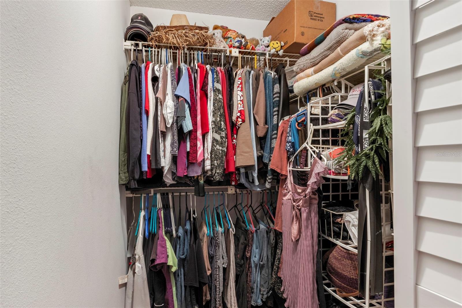 1237 GREENLEA DR, HOLIDAY, FL, 34691