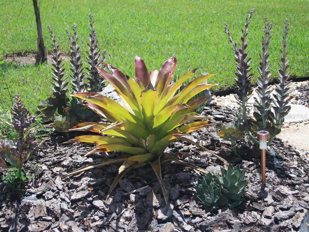 3157 GOLDENROD ST #A, SARASOTA, FL, 34239