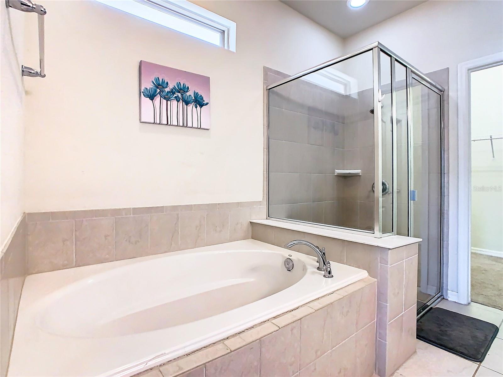 8800 CORCOVADO DR, KISSIMMEE, FL, 34747