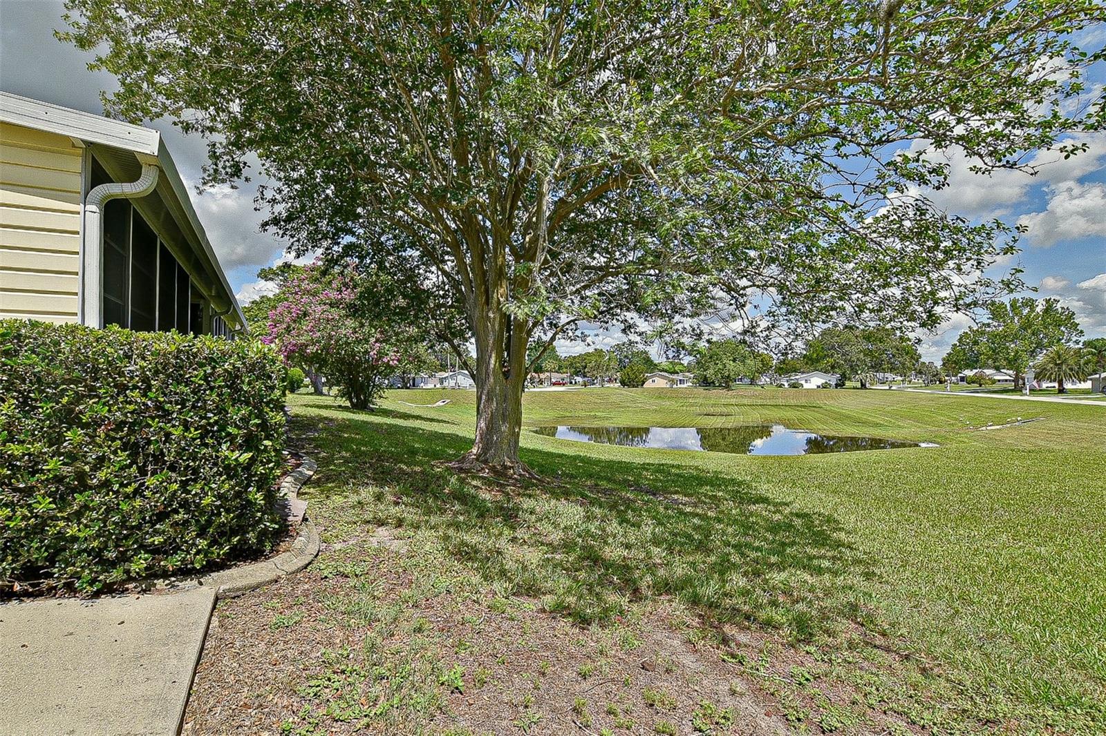 10699 SE 178TH ST, SUMMERFIELD, FL, 34491