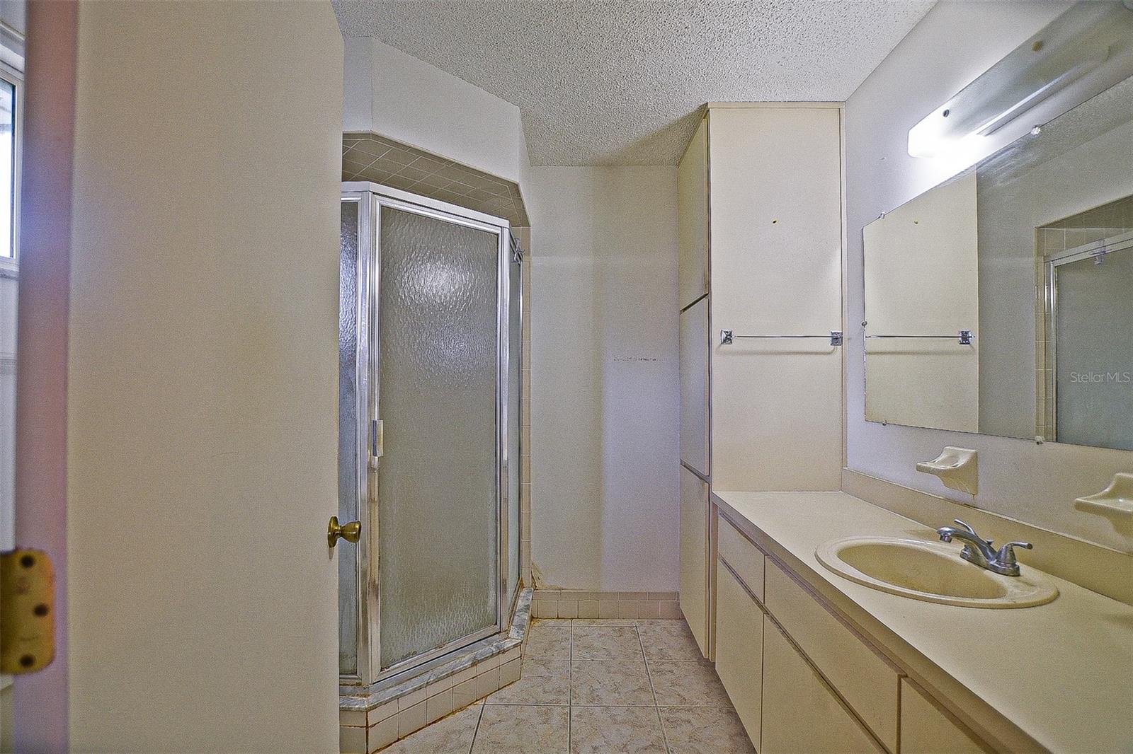 10699 SE 178TH ST, SUMMERFIELD, FL, 34491