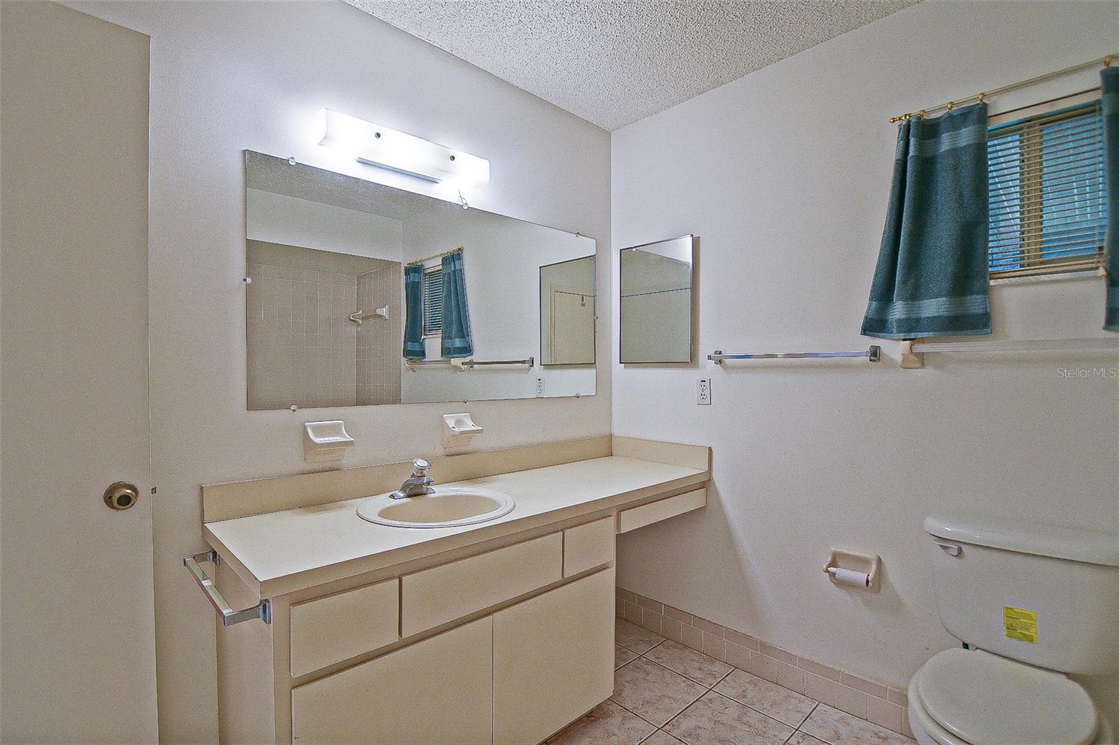 10699 SE 178TH ST, SUMMERFIELD, FL, 34491