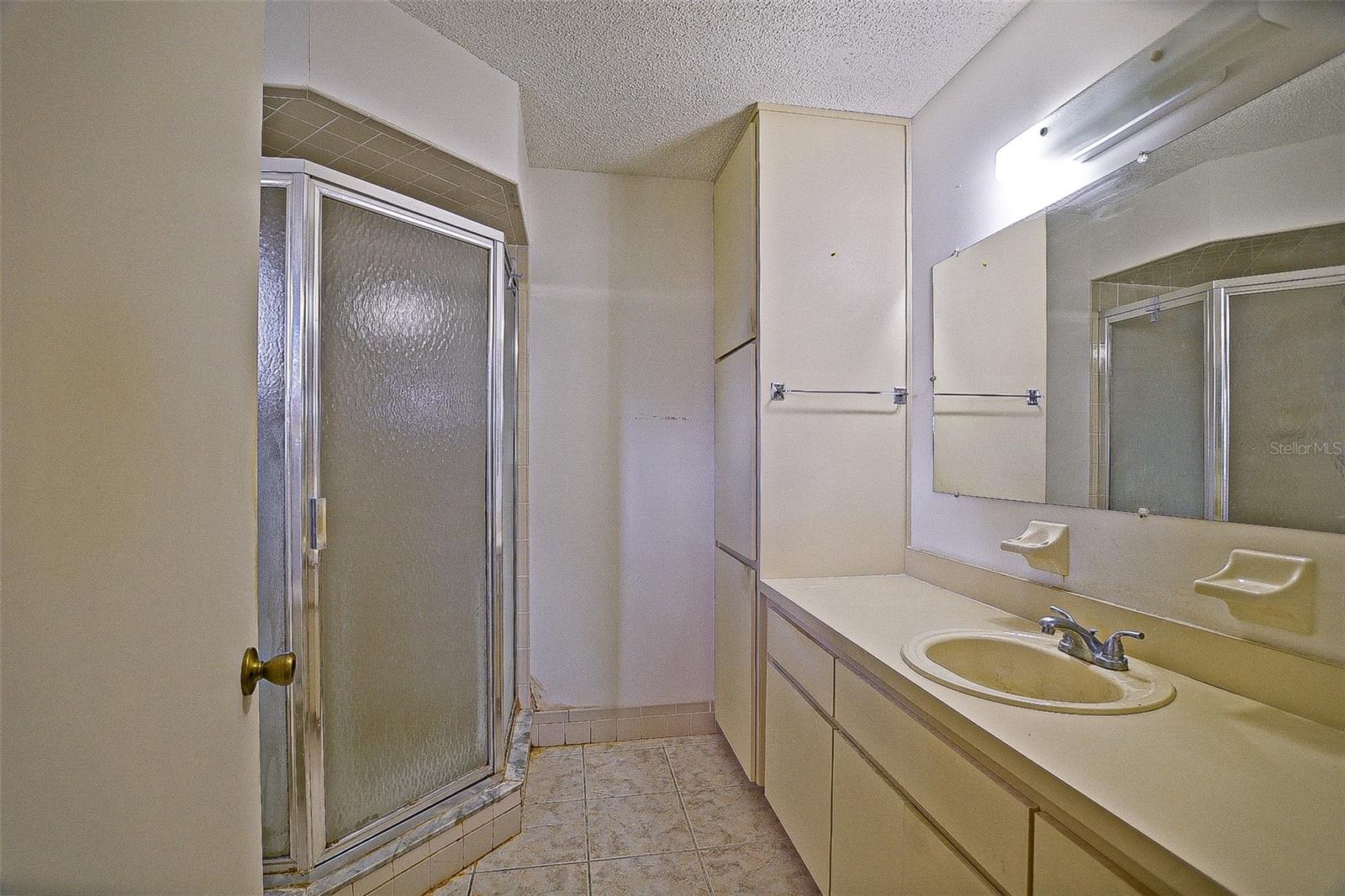 10699 SE 178TH ST, SUMMERFIELD, FL, 34491