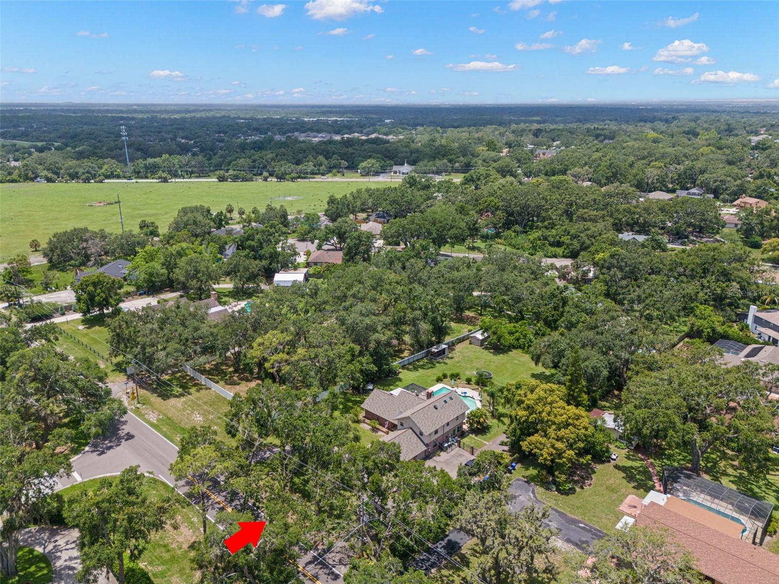 2306 S VALRICO RD, VALRICO, FL, 33596