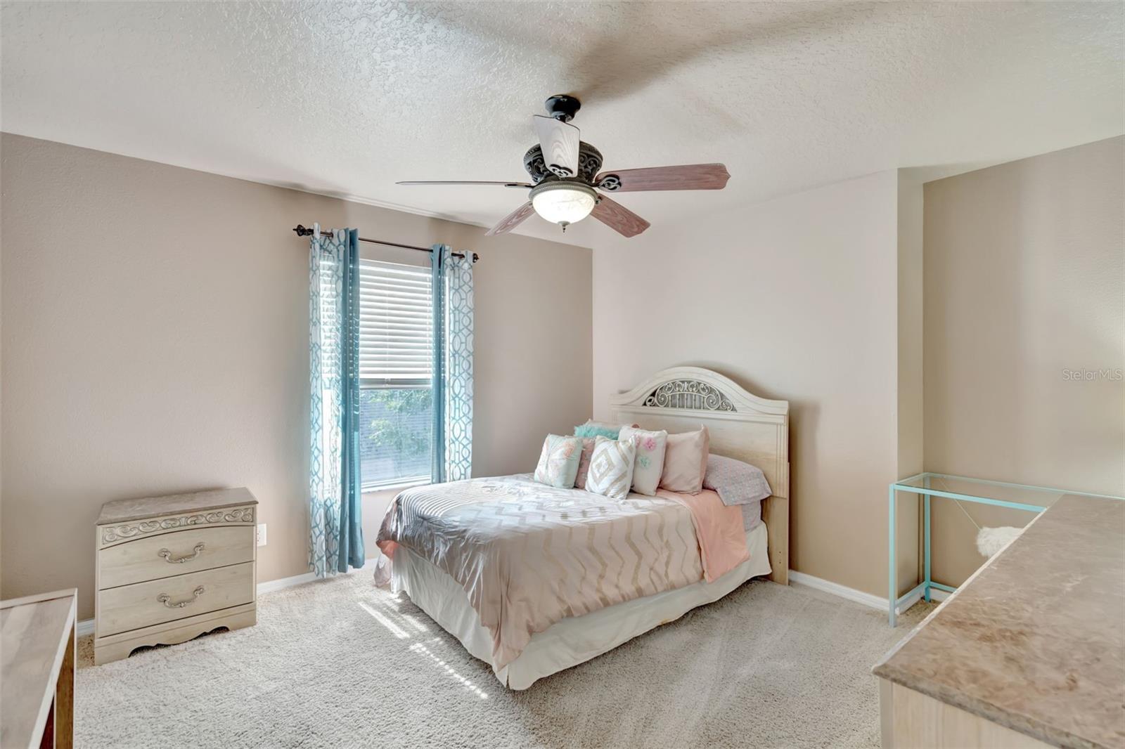 6932 GRAY CATBIRD LOOP, WESLEY CHAPEL, FL, 33545