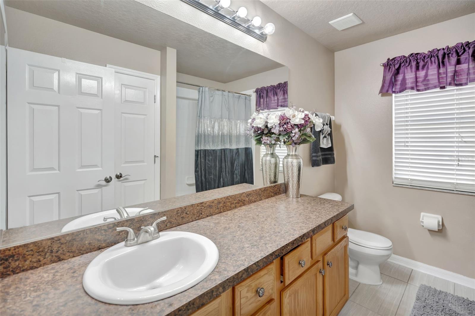 6932 GRAY CATBIRD LOOP, WESLEY CHAPEL, FL, 33545