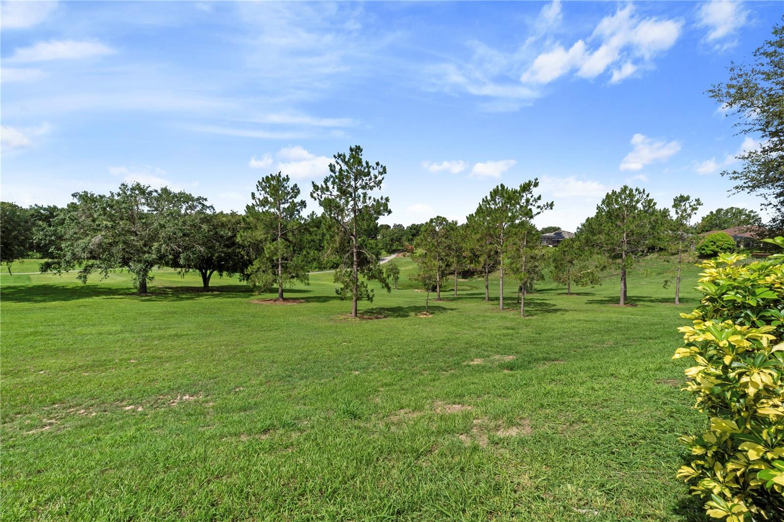 1351 LEGENDARY BLVD, CLERMONT, FL, 34711