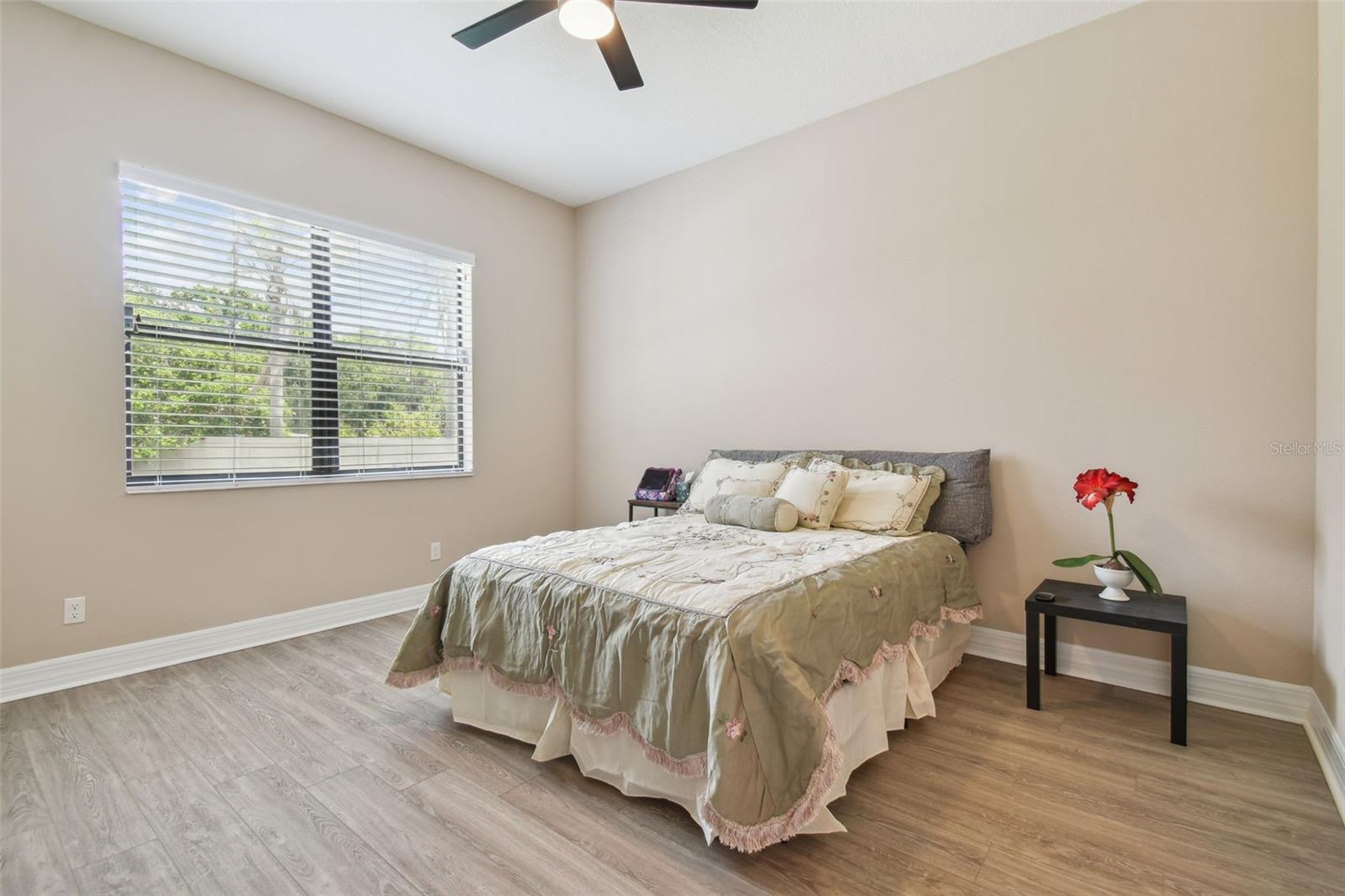 2566 LAKE MANOR DR, LAND O LAKES, FL, 34639