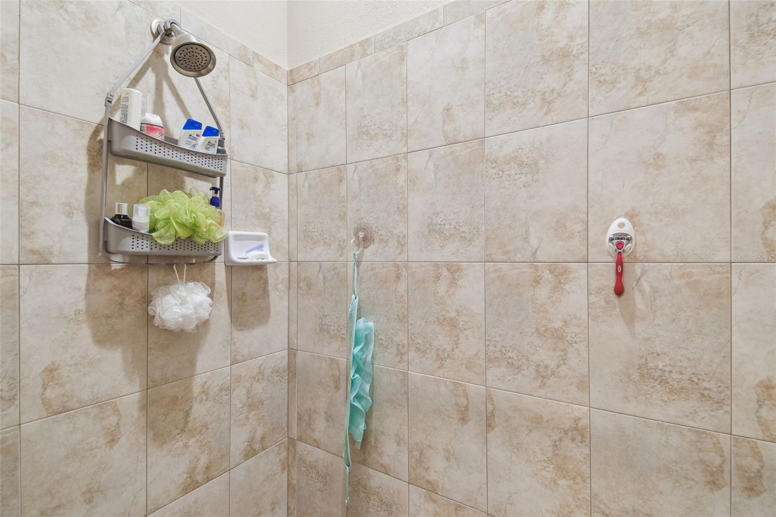 2566 LAKE MANOR DR, LAND O LAKES, FL, 34639