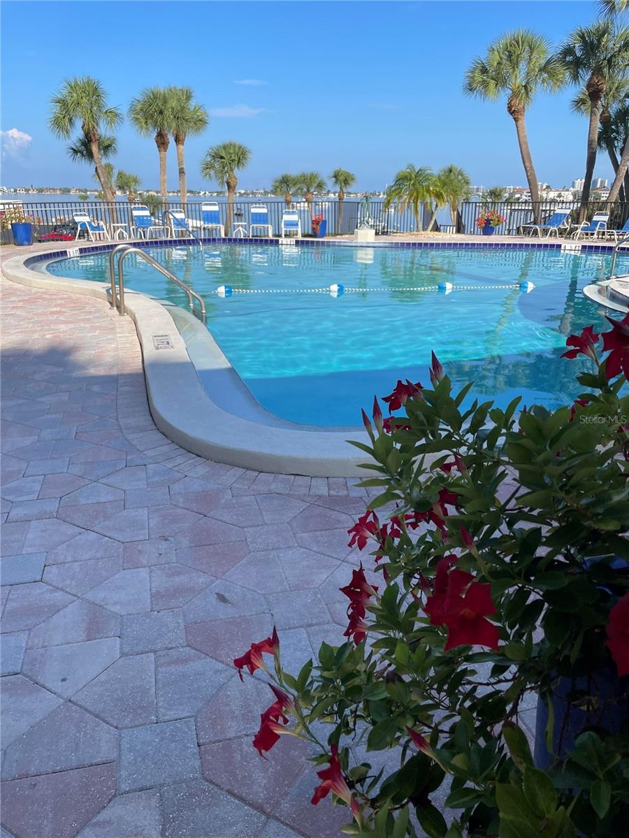 100 BLUFF VIEW DR #511C, BELLEAIR BLUFFS, FL, 33770