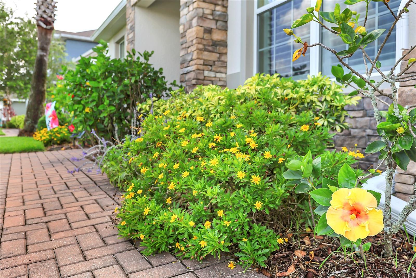 724 GRASSY STONE DR, WINTER GARDEN, FL, 34787