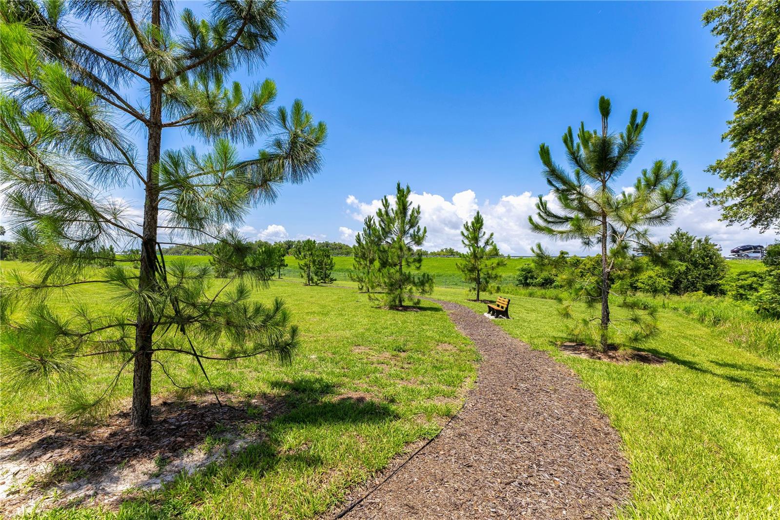 744 CURLY LOCKS LOOP, APOPKA, FL, 32703