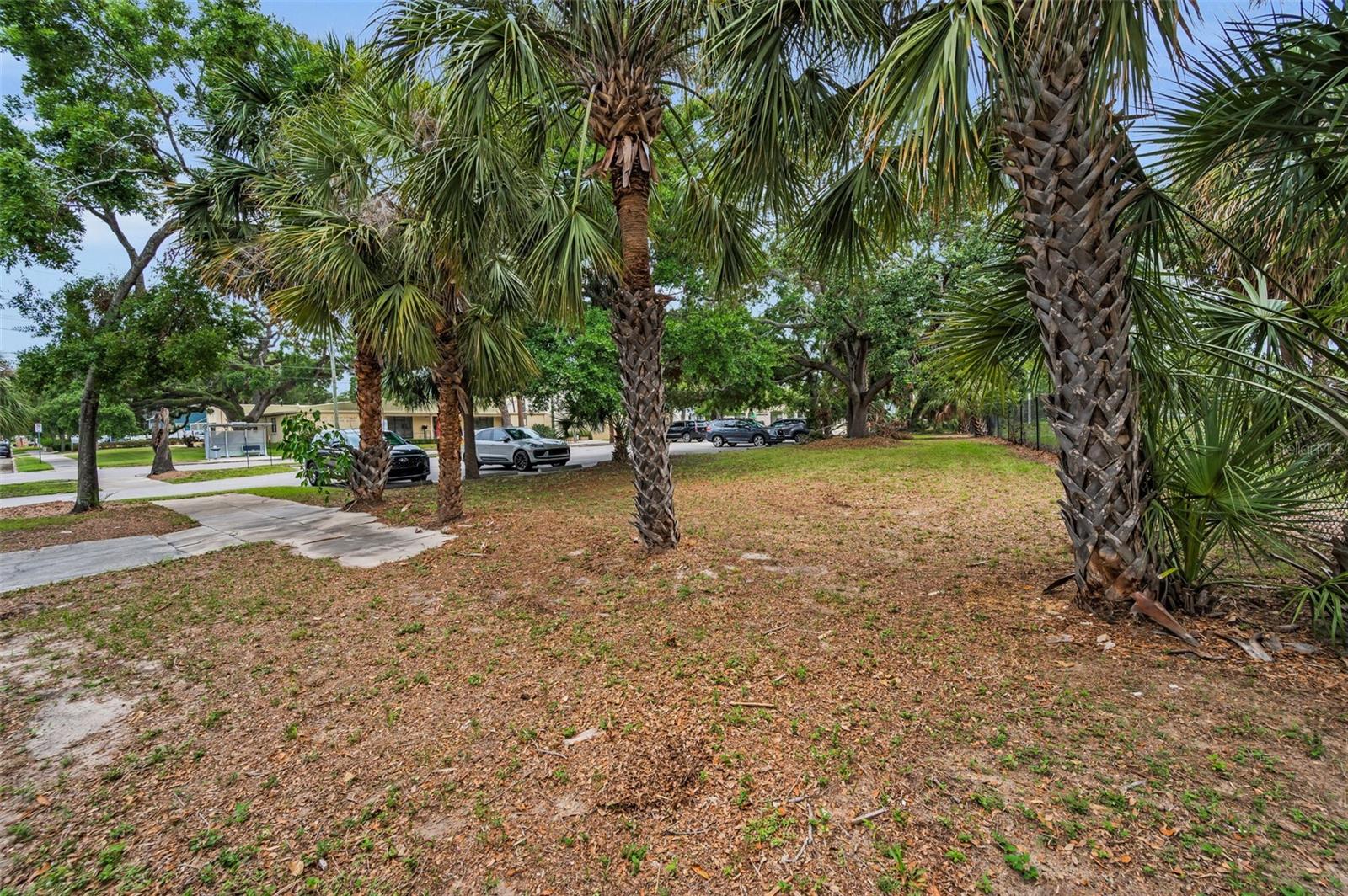 1009 W PLATT ST, TAMPA, FL, 33606