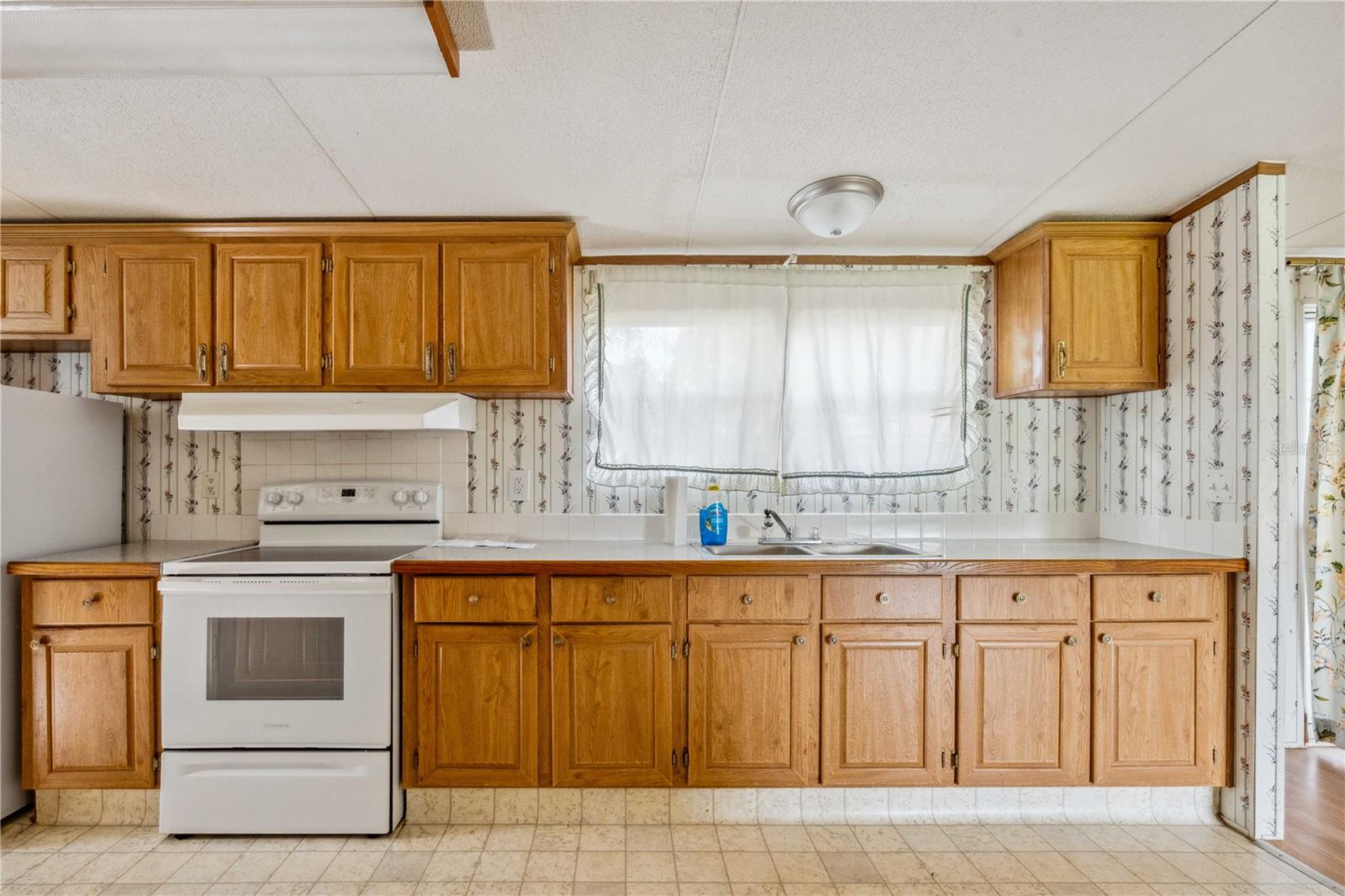 8514 BRAGG ST, ZEPHYRHILLS, FL, 33540