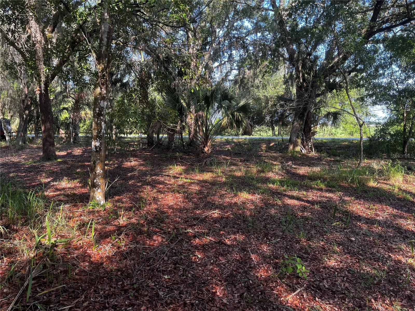 0 CAMP MACK RD, LAKE WALES, FL, 33898
