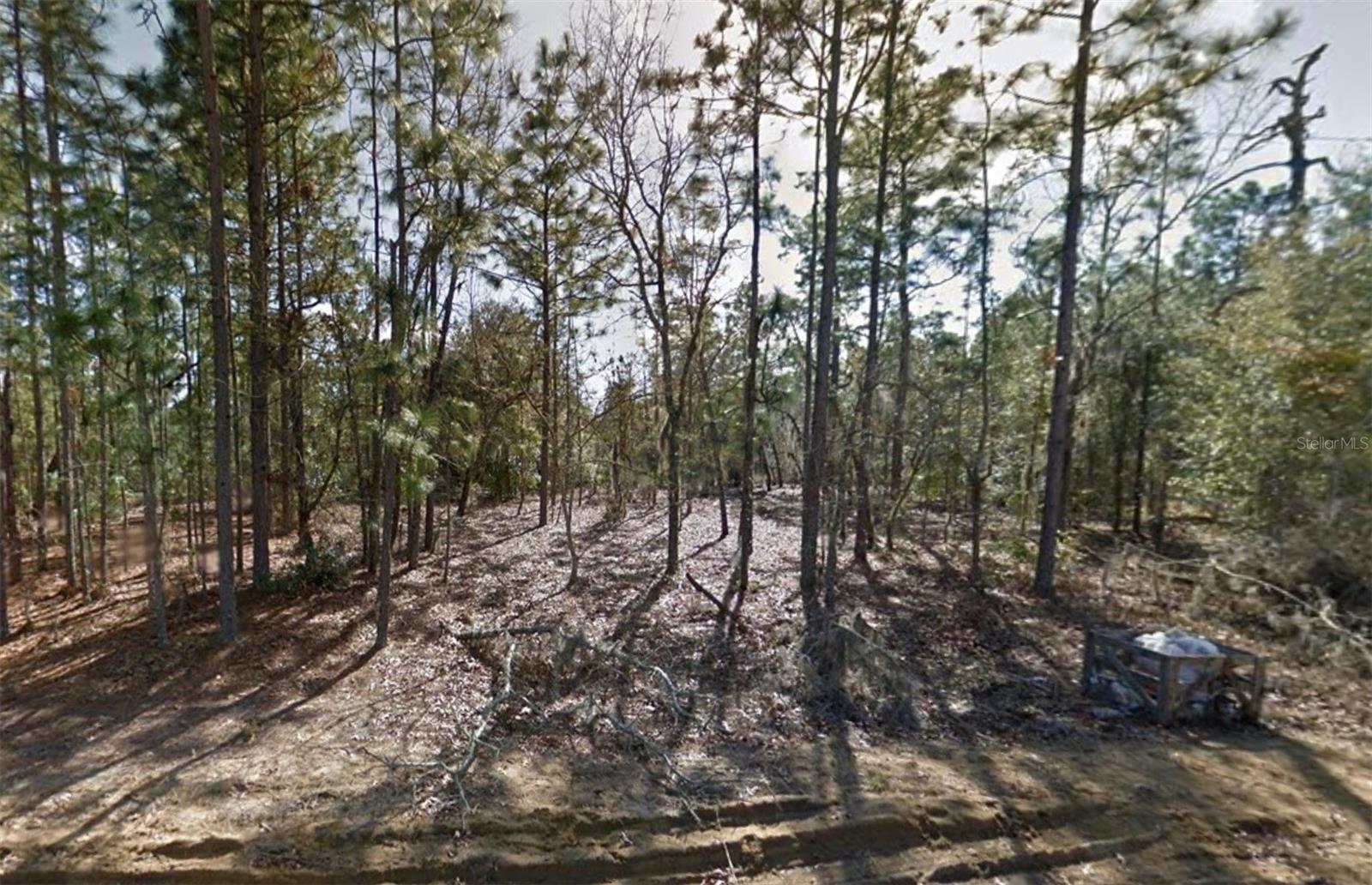 00 2ND ST, INTERLACHEN, FL, 32148