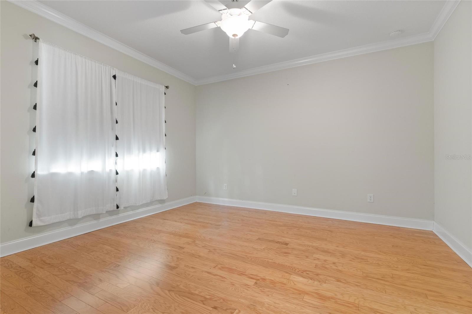 1010 TEAL POINTE, TARPON SPRINGS, FL, 34689