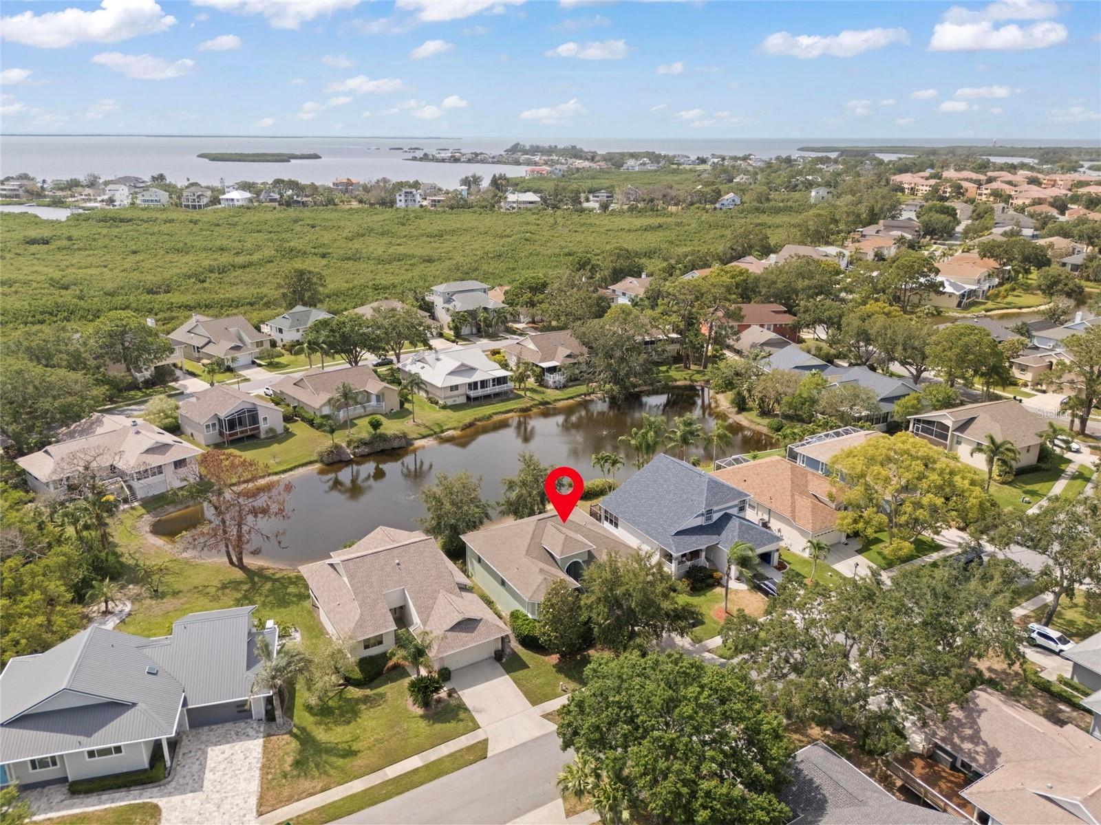 1010 TEAL POINTE, TARPON SPRINGS, FL, 34689