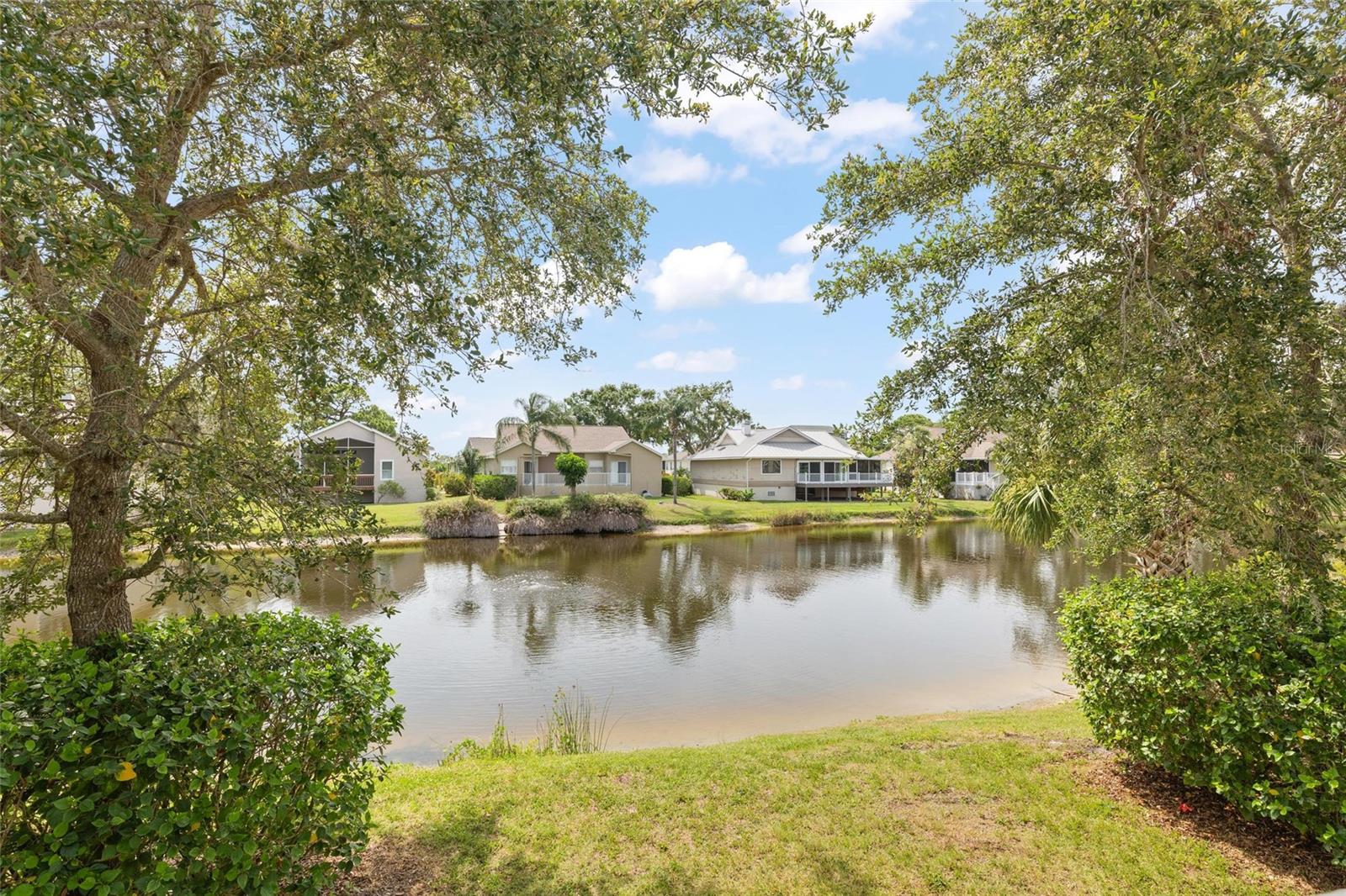 1010 TEAL POINTE, TARPON SPRINGS, FL, 34689