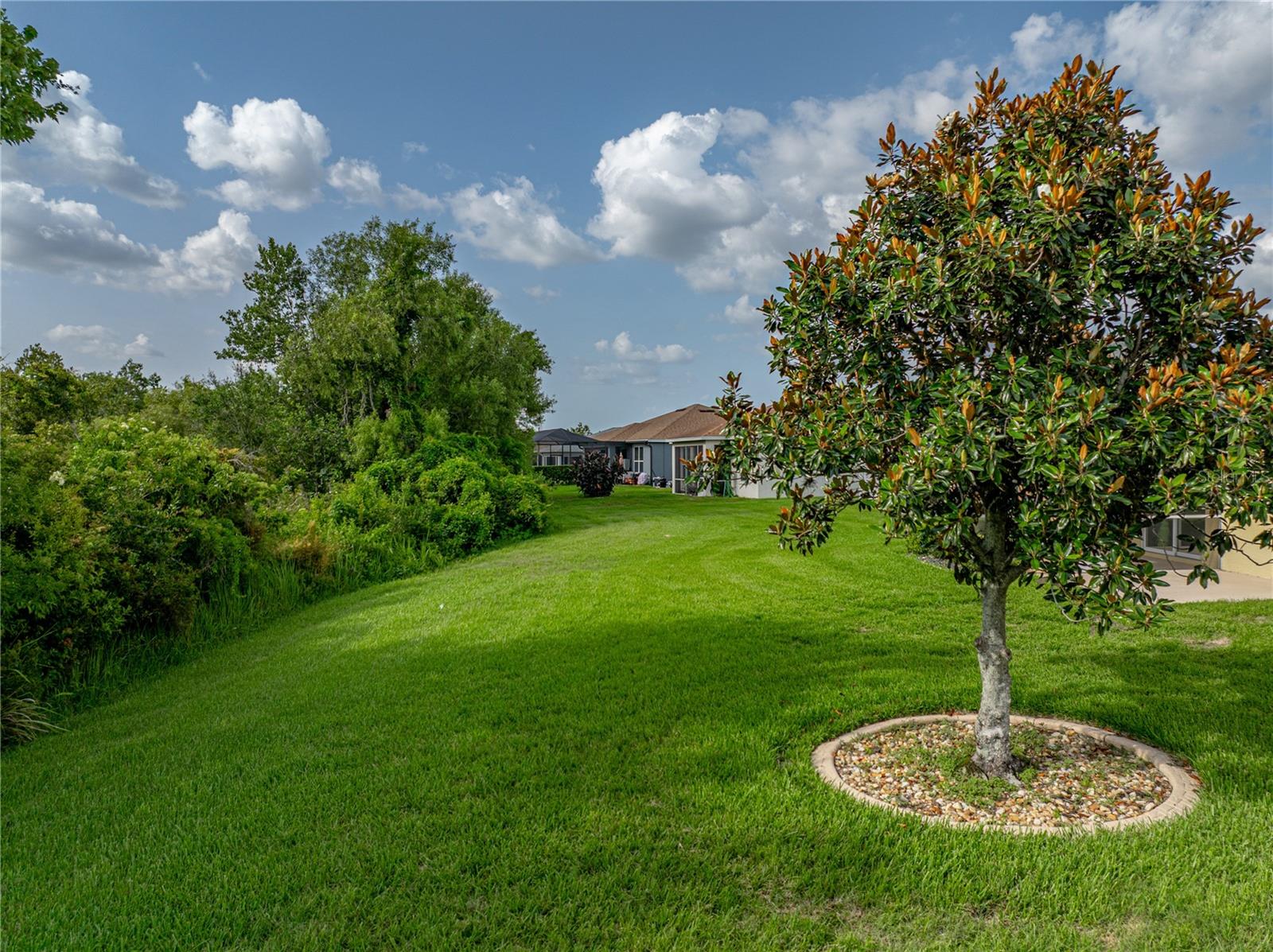 3427 WATERLUTE WAY, LAKELAND, FL, 33811