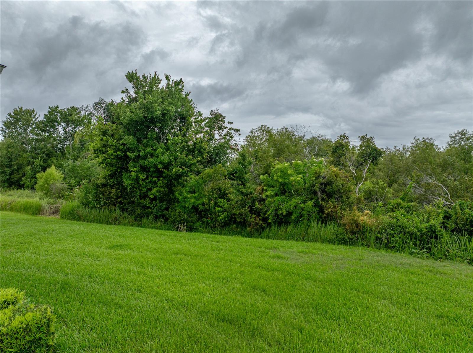 3427 WATERLUTE WAY, LAKELAND, FL, 33811