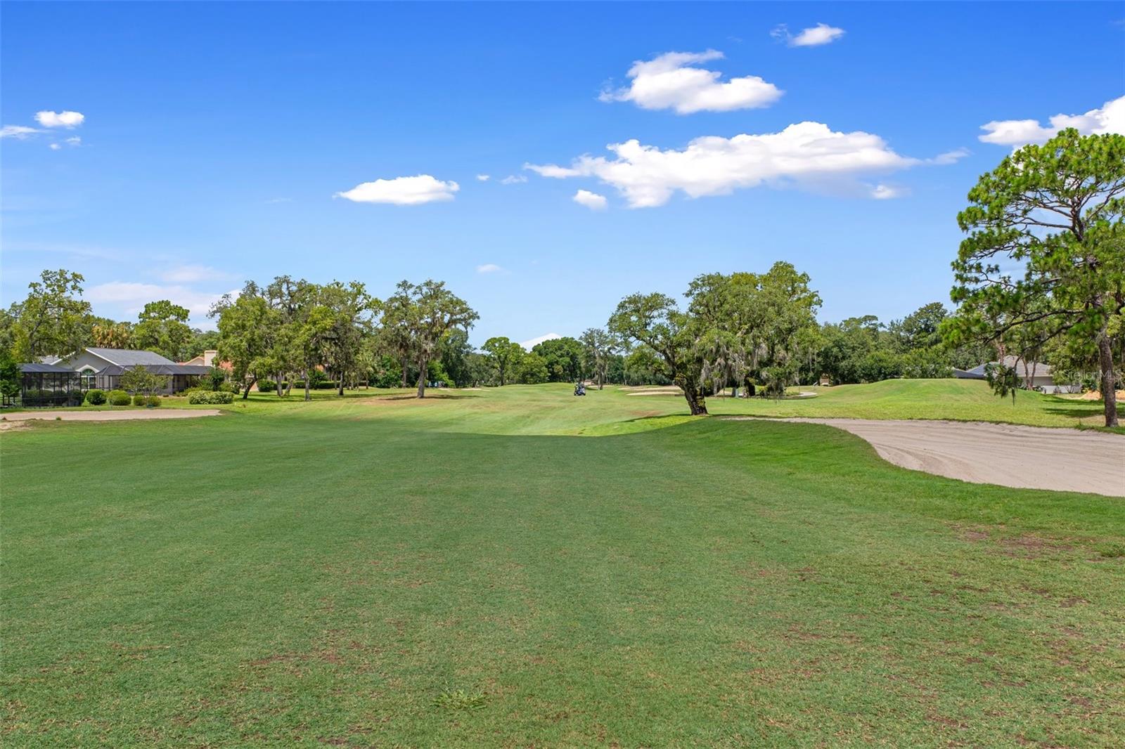 690 E JENKINS CT, HERNANDO, FL, 34442