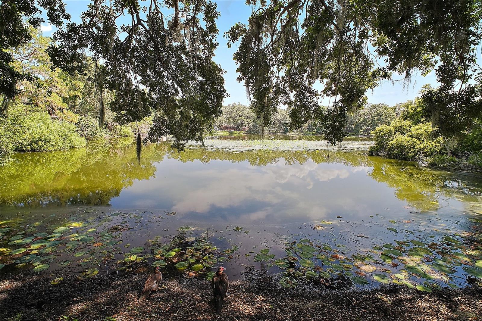 1301 CAMBRIDGE DR, LEESBURG, FL, 34748